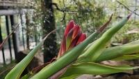 botankakvět3 729769093 1007821108878343 843806666132810710 n